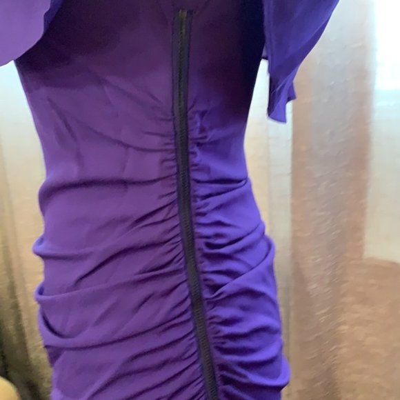 [EUC] BCBGMAXAZRIA 100% Silk Ruched Bodycon Dress - Picture 4 of 7